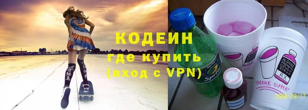 индика Волосово