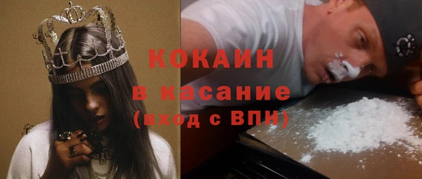 индика Волосово