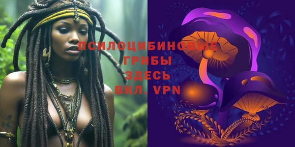 индика Волосово