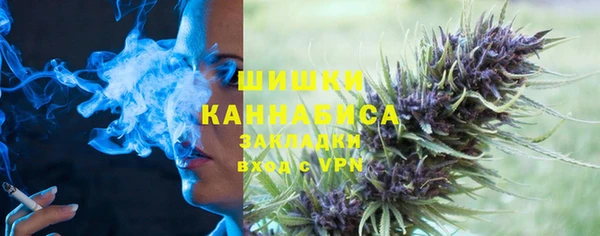 гидра Верея