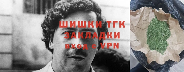 индика Волосово
