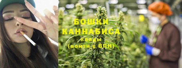 индика Волосово